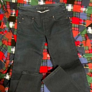 Blueberry, pull on skinny jeans/jeggings. (Womens)